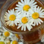 Sedativi naturali. Foto di congerdesign da Pixabay