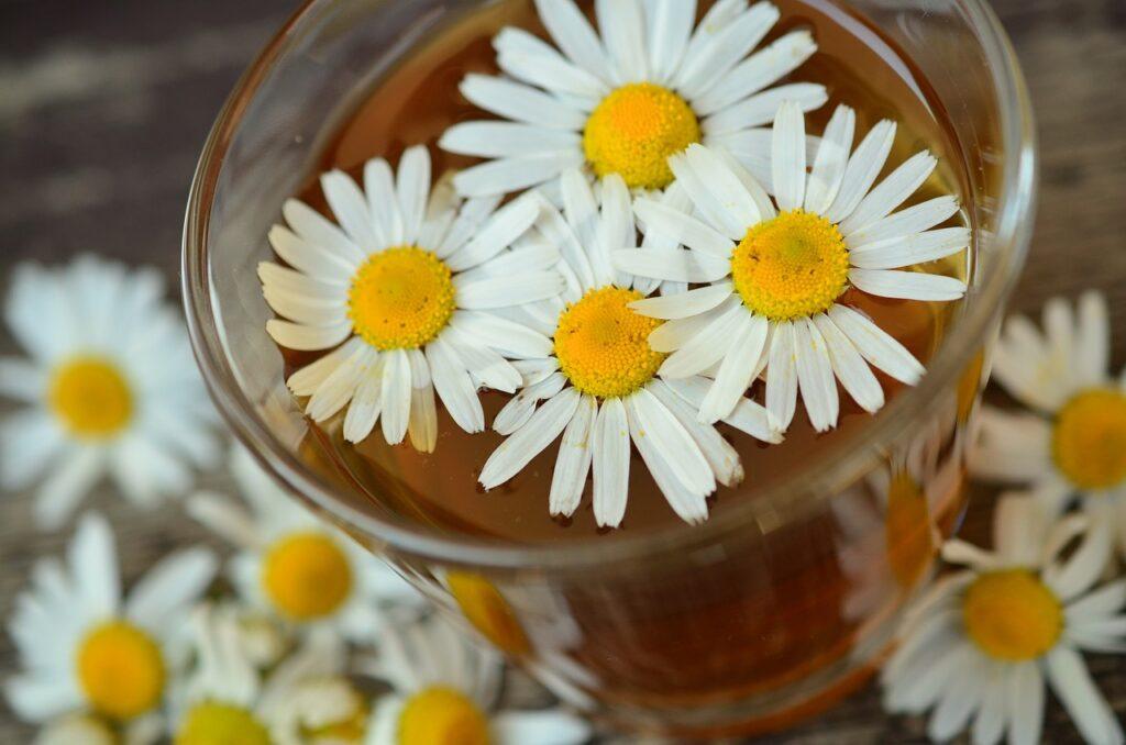 Sedativi naturali. Foto di congerdesign da Pixabay