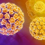 HPV - un'immagine a colori dell'HPV (human papilloma virus)