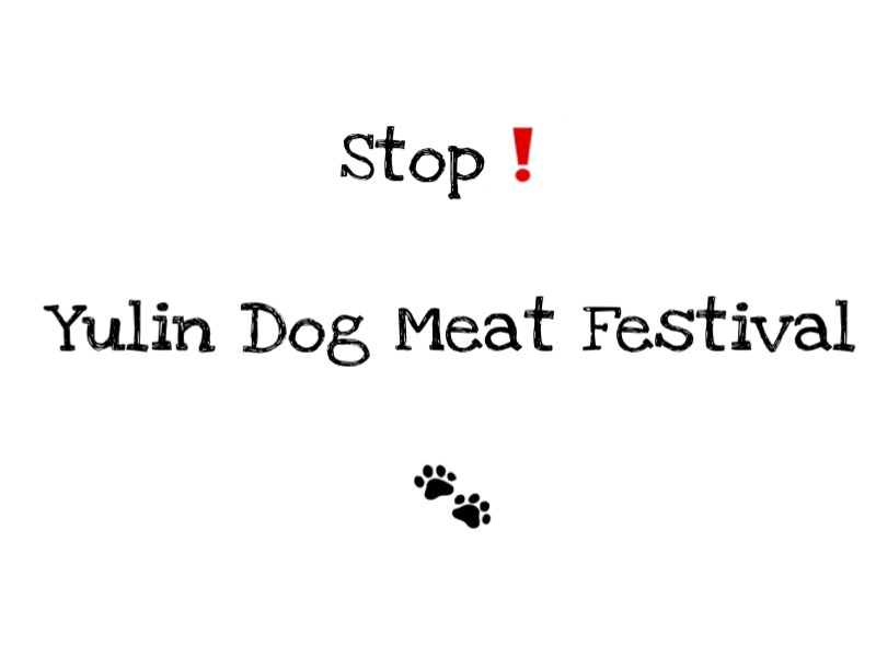 Yulin Dog Meat festival