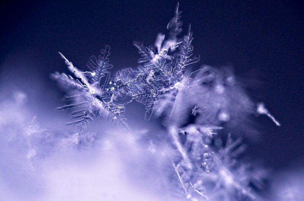 Fiocchi di neve. Foto di Lori Lo da Pixabay.