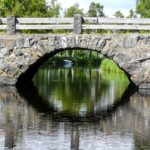 Ponti naturali e ponti viventi nel mondo