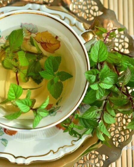 Tazza di infuso alla menta piperita.