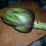 Carciofo spinoso