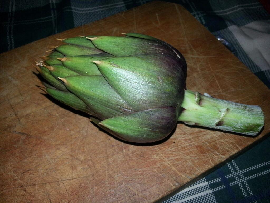 Carciofo spinoso