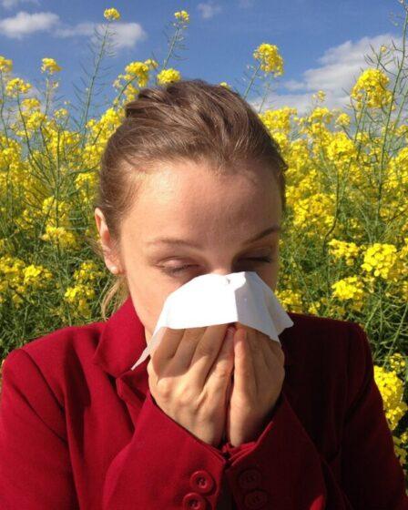 Allergie al polline. Foto di Corina da Pixabay