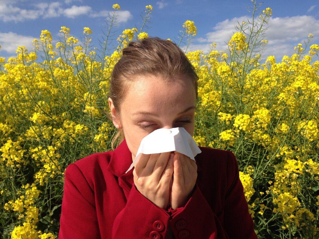 Allergie al polline. Foto di Corina da Pixabay