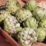 Carciofi. Foto di Nikki Dawson da Pixabay