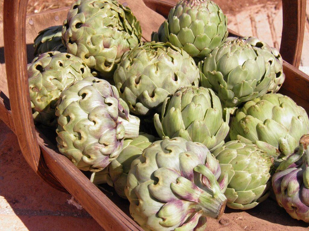 Carciofi. Foto di Nikki Dawson da Pixabay