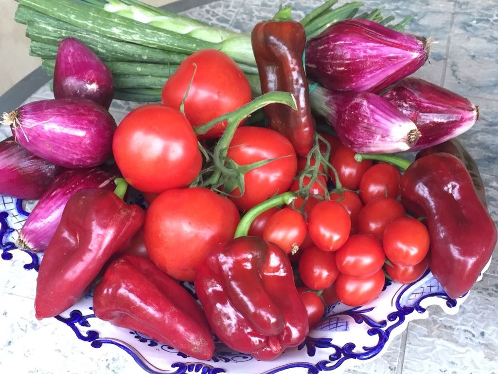 Rosso - I colori in cucina - Cesto di ortaggi rossi (pomodori, peperoni)