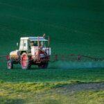 Monsanto condannata: sentenza storica.