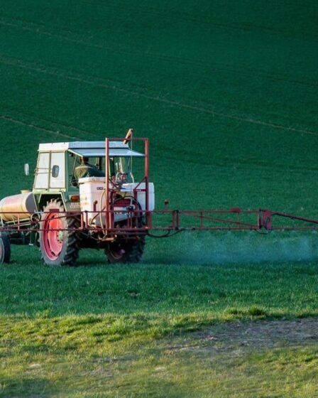 Monsanto condannata: sentenza storica.