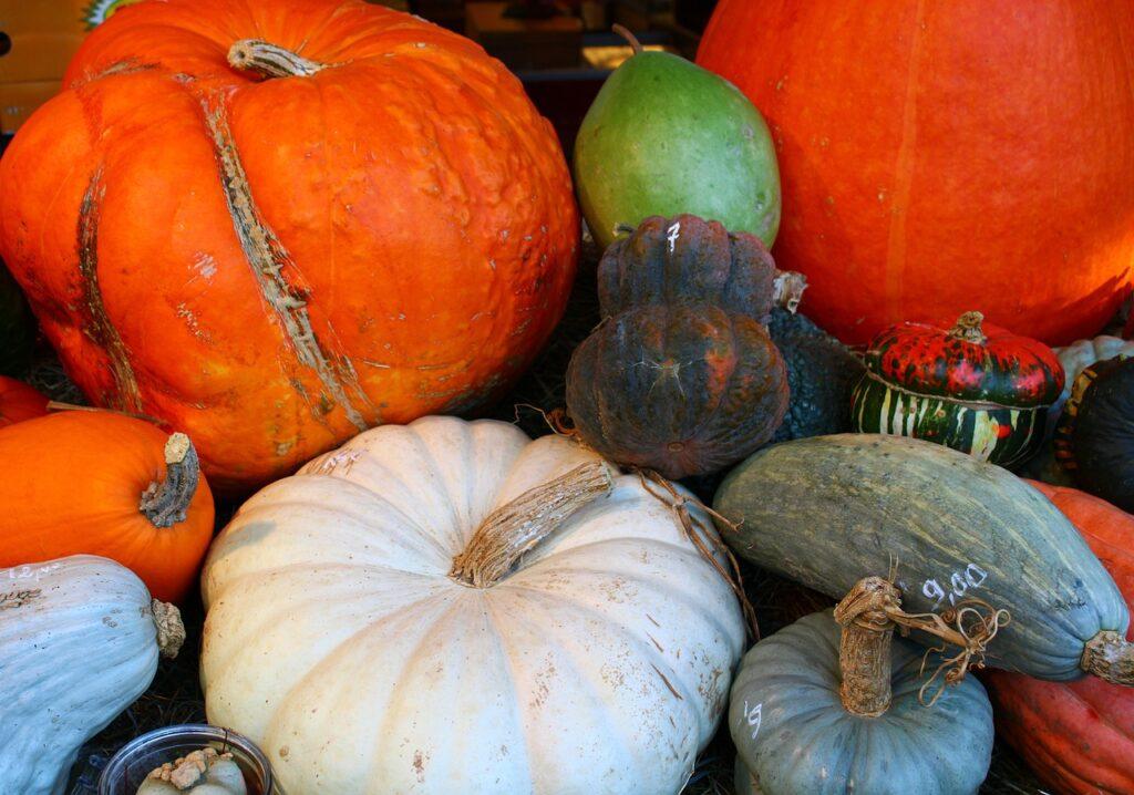 Ricette con la zucca