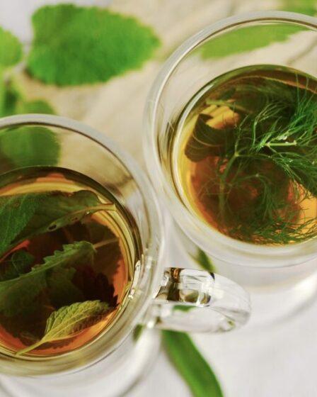 Infuso digestivo alle erbe. Foto di congerdesign da Pixabay