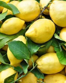 Ricette con il limone - copertina articolo giallo limone