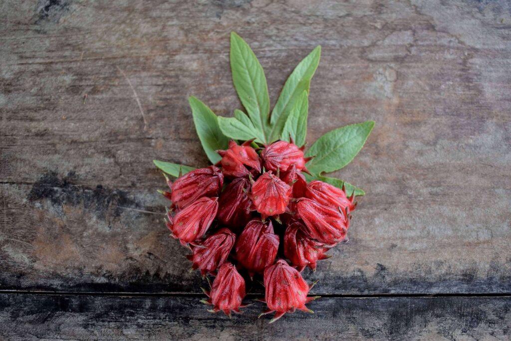 Il karkadè si ricava dai fiori d'ibisco (Hibiscus sabdariffa)