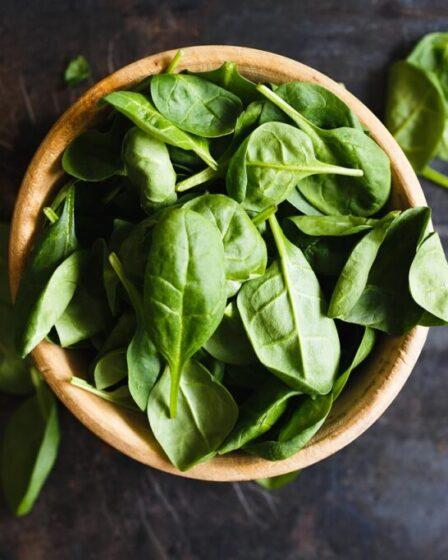 Il basilico è un ingrediente basilare della cucina genovese. Foto di Konstantin Kolosov da Pixabay.