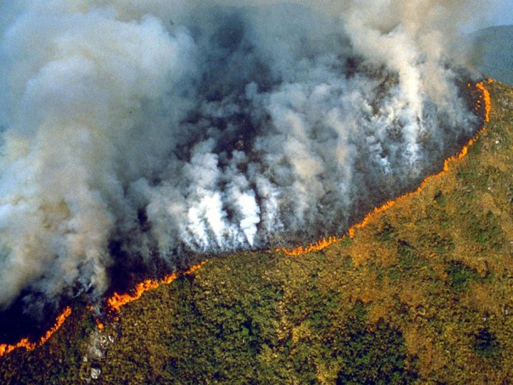 Amazzonia incendi