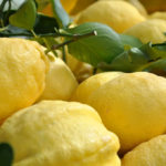 Limone sfusato di Amalfi o Sfusato amalfitano