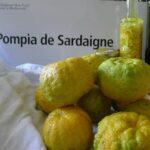 Pompìa di Sardegna PAT