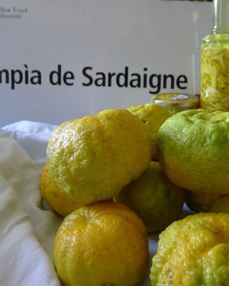 Pompìa di Sardegna PAT