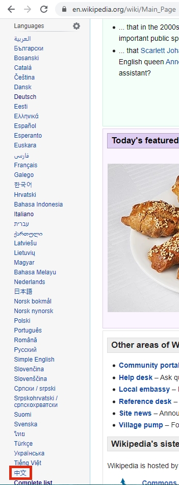 Lingua cinese su wikipedia