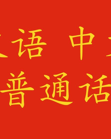 Lingua cinese: 汉语, 中文 o 普通话?