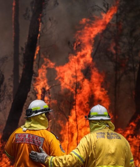 Australia in fiamme: vigili del fuoco che cercano di domare le fiamme