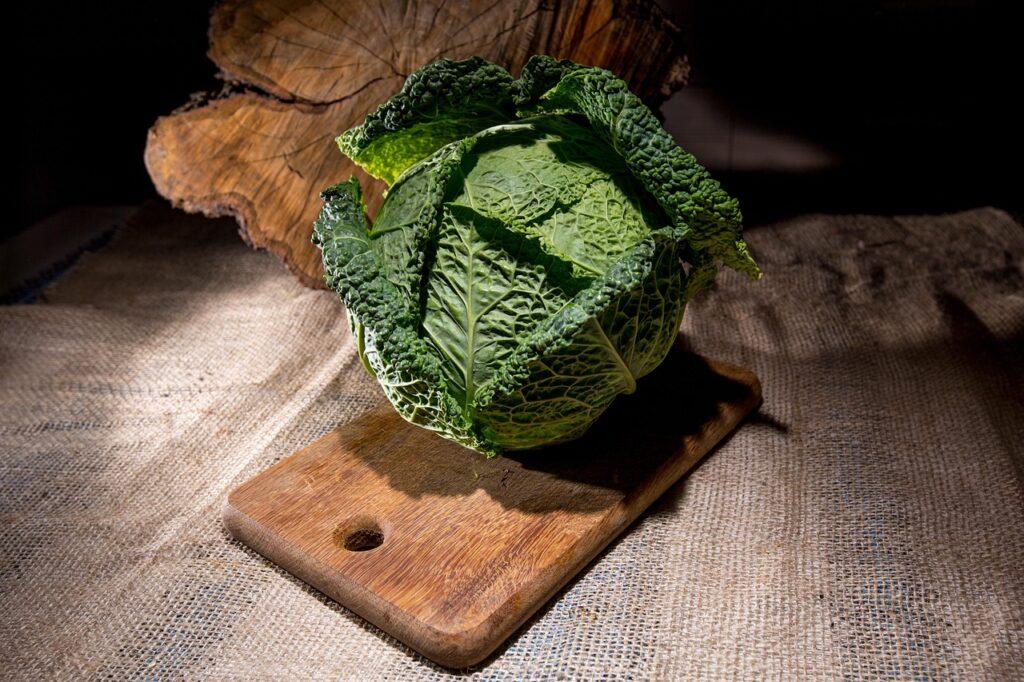 Ricette con la verza. Foto di Сергей da Pixabay.