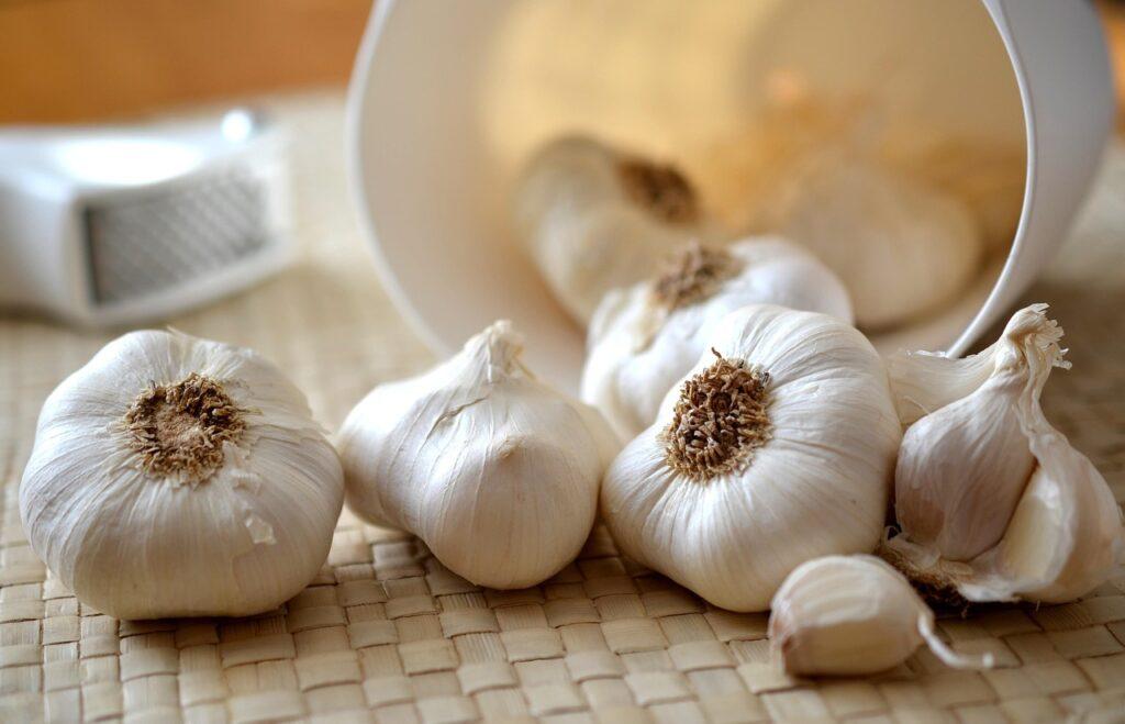 Aglio. Foto di congerdesign da Pixabay