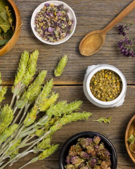 Diuretici naturali