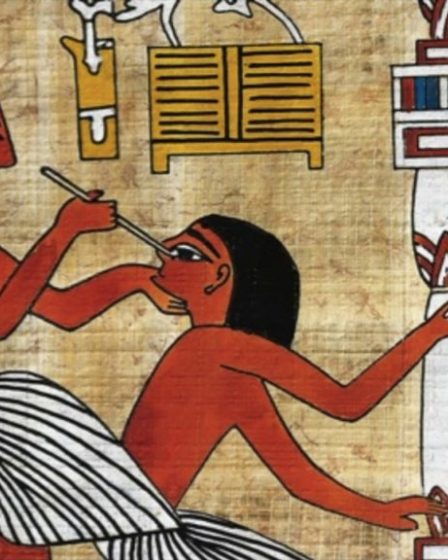 Medicina dell'Antico Egitto