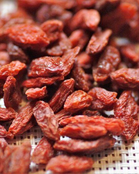 Bacche di goji, Foto di ivabalk da Pixabay