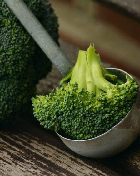 Broccoli