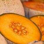 Melone giallo. Foto di Couleur da Pixabay
