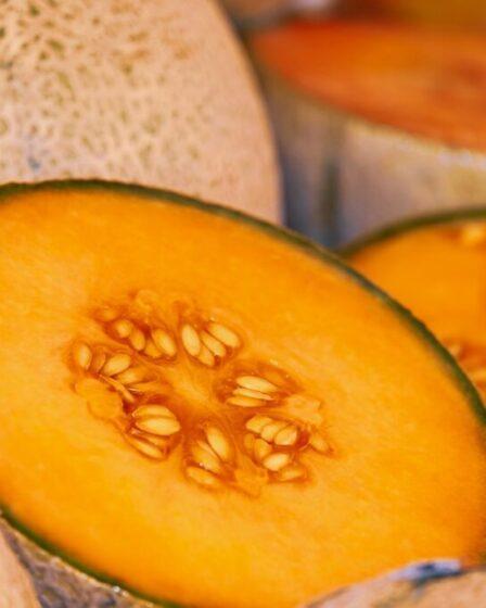 Melone giallo. Foto di Couleur da Pixabay