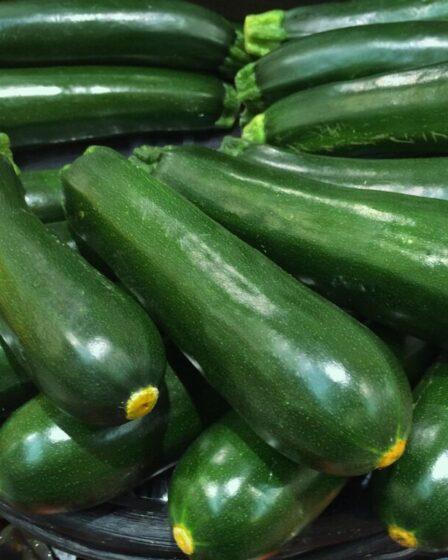 Zucchine. Foto di マサコ アーント da Pixabay
