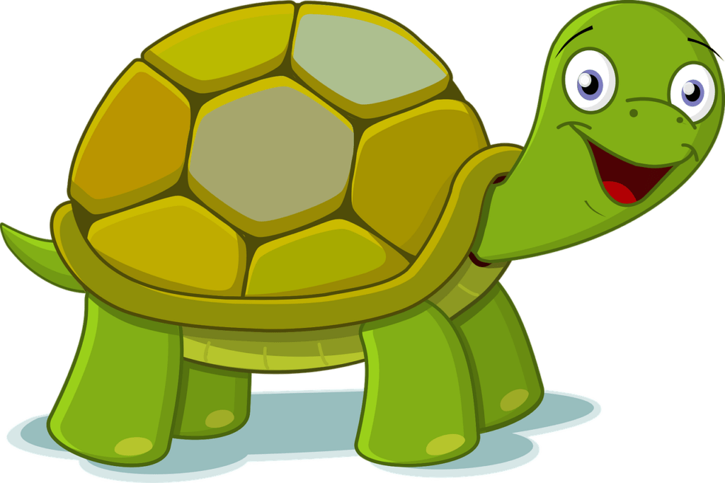 Logo e turtle