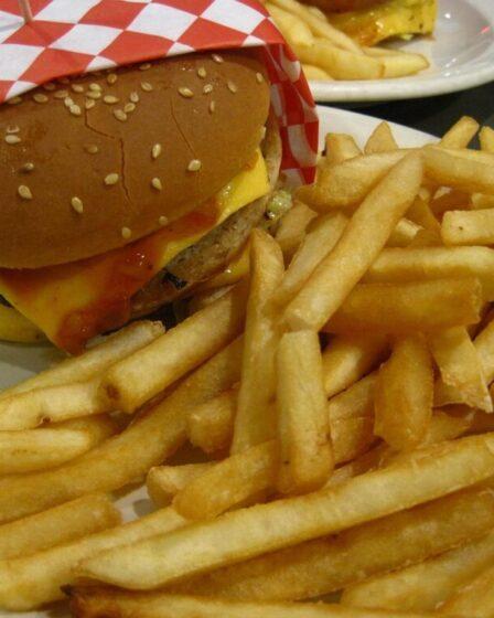 Perché il cibo da McDonald's costa meno? Foto di David Z da Pixabay.