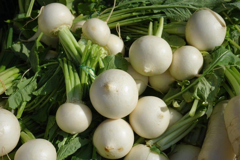 Brassica rapa. Foto di Hans da Pixabay