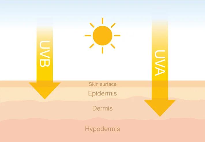 Potere penetrante dei raggi UV e fotoinvecchiamento