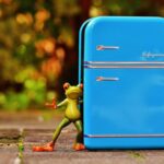 frog-1729802_1280