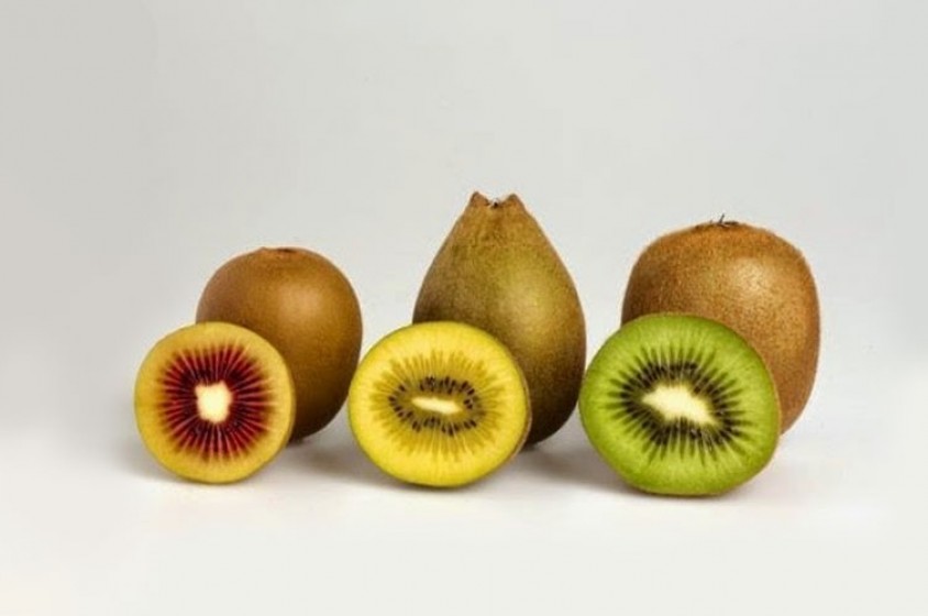 Varietà rosse, gialle e verdi del kiwi
