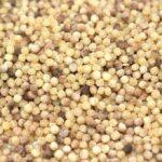Fregula sarda