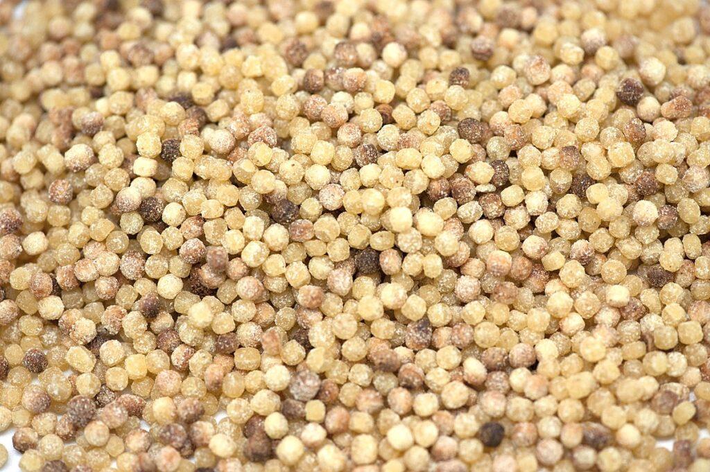 Fregula sarda