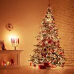 L'albero di Natale: origini, storia e leggende