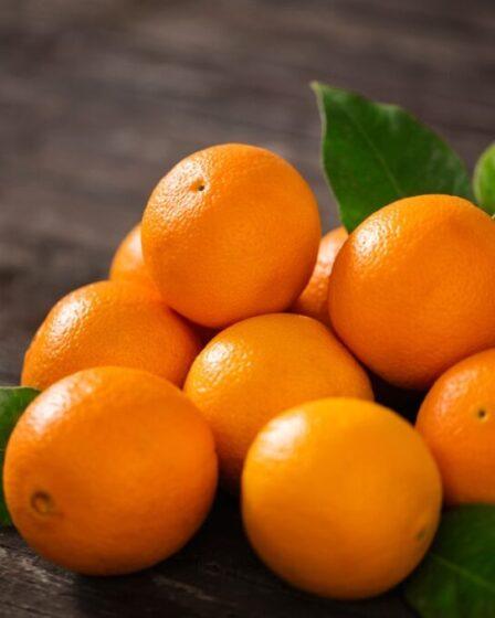 arance - valori nutrizionali, proprietà e ricette