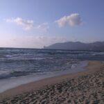 Plagemesu