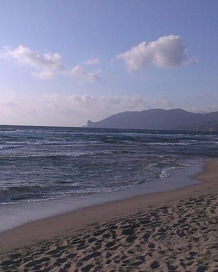 Plagemesu