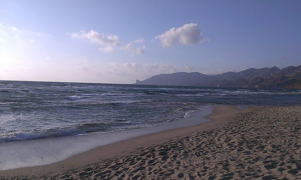Plagemesu